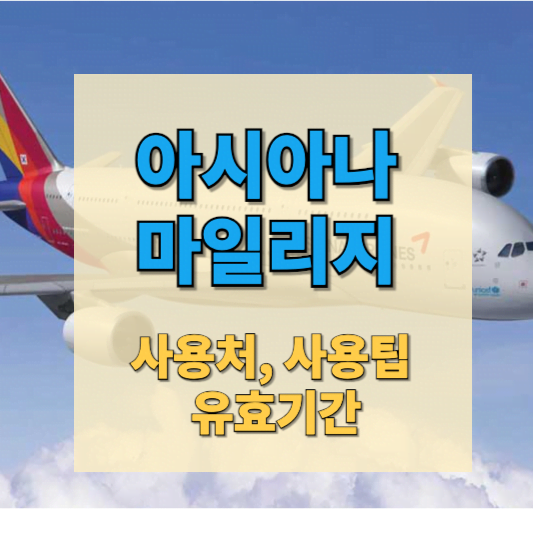아시아나 마일리지 썸네일