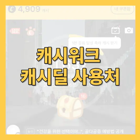 캐시딜 사용처