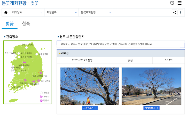 기상청봄꽃개화현황
