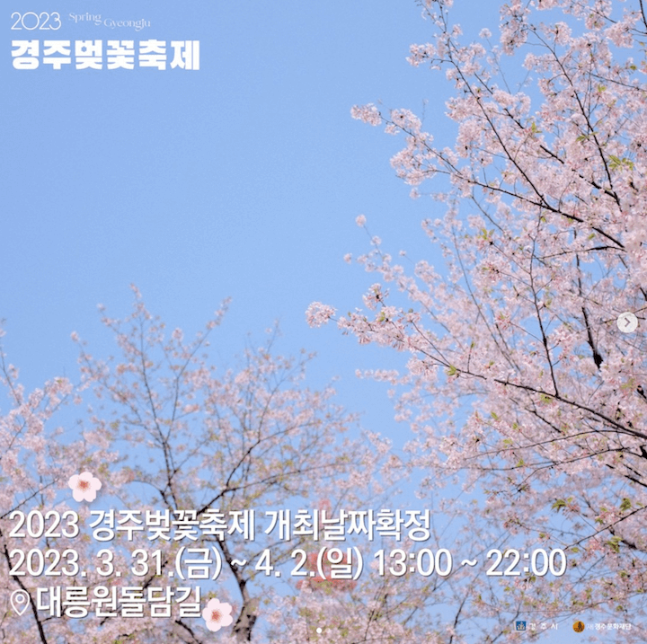 2023경주벚꽃축제 (1)